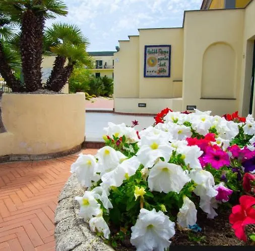 Casthotels Punta Del Sole Terme Hotel 4*